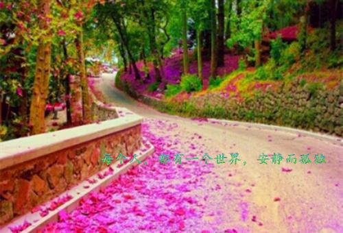 挣脱情茧小说无弹窗（挣脱情茧小说）大结局_何彦婉玥最新章节列表_笔趣阁（挣脱情茧小说）