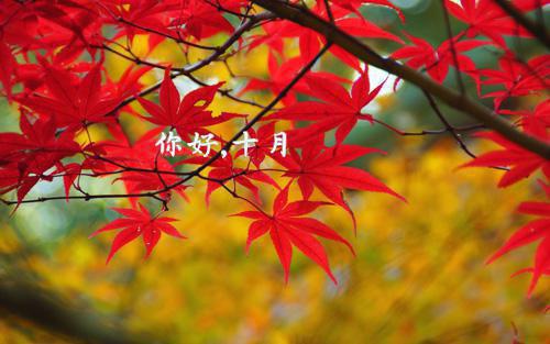 苏娆司意寒(诱捕心动苏娆司意寒)全文免费阅读无弹窗大结局_ 苏娆司意寒免费阅读最新章节列表_笔趣阁（苏娆司意寒）