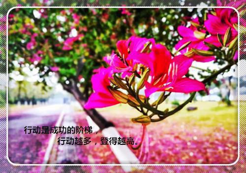 梁若馨傅琛姜淮（梁若馨傅琛姜淮）全文免费阅读无弹窗大结局_（梁若馨傅琛姜淮全文免费阅读无弹窗）梁若馨傅琛姜淮最新章节列表_笔趣阁（梁若馨傅琛姜淮）