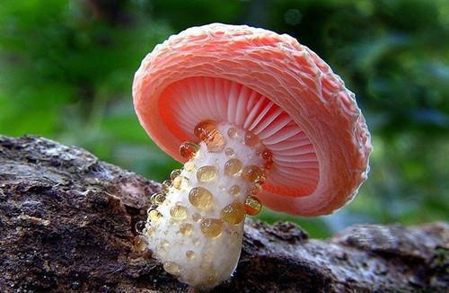 消耗遗憾唐泽苏冉全文免费阅读无弹窗大结局_（消耗遗憾唐泽苏冉在线阅读）消耗遗憾唐泽苏冉最新章节列表_笔趣阁（消耗遗憾唐泽苏冉）