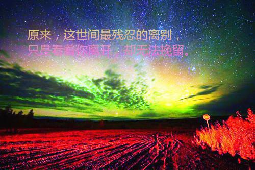 甜心贵妃（沈煜宋今安）全文免费阅读无弹窗大结局_(甜心贵妃全文大结局)甜心贵妃最新章节列表_笔趣阁（甜心贵妃）