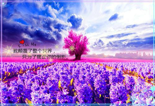 一念千金小说全文免费阅读无弹窗（一念千金小说）大结局_一念千金小说最新章节列表_笔趣阁（一念千金小说）