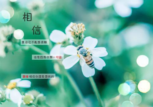 烈火焚天小说（烈火焚天赵苍穹）全文免费阅读无弹窗大结局_（烈火焚天小说）烈火焚天赵苍穹全文免费阅读最新章节列表_笔趣阁（烈火焚天赵苍穹）