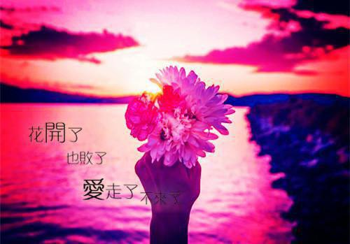 七年终离别知乎（周皓白程颖）全文免费阅读无弹窗大结局_（七年终离别知乎免费阅读全文大结局）周皓白程颖最新章节列表_笔趣阁（七年终离别）