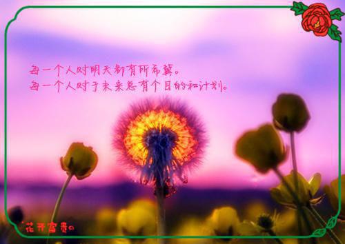 南浅战枭小说全文免费阅读-南浅战枭最新章节