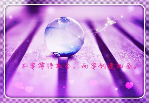 阮愫古皓白最新章节（阮愫古皓白免费阅读）——阮愫古皓白小说在线阅读完整版