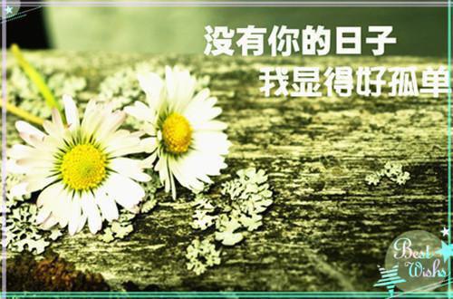 认错男友宝宝时瑾李修成全文免费阅读无弹窗大结局_（认错男友宝宝时瑾李修成）认错男友宝宝时瑾李修成最新章节列表笔趣阁（认错男友宝宝时瑾李修成）