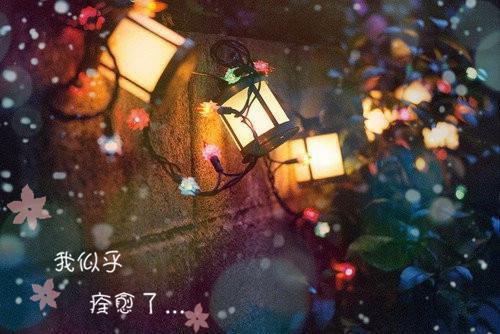 世界杯王小说（白炎）全文免费阅读_世界杯王白炎最新章节列表笔趣阁（世界杯王白炎小说）