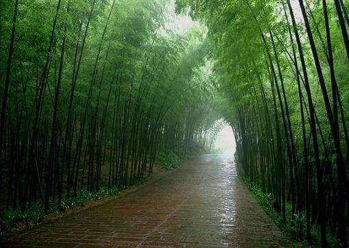 乡下未婚妻是真大佬薄寒年叶凝（薄寒年叶凝）全文免费阅读无弹窗大结局_乡下未婚妻是真大佬薄寒年叶凝最新章节列表_笔趣阁(乡下未婚妻是真大佬薄寒年叶凝）