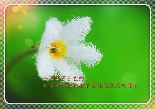 余生许国,再难许卿,叶兰溪顾砚舟（叶兰溪顾砚舟栗雯雯）全文免费阅读无弹窗大结局_（叶兰溪顾砚舟栗雯雯）最新章节列表_笔趣阁叶兰溪顾砚舟栗雯雯