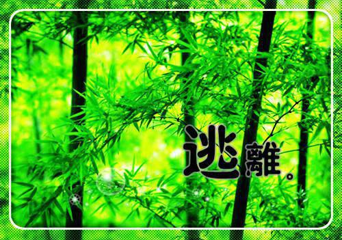 无期如初(宝银宝珠）小说全文免费阅读无弹窗大结局_（无期如初）宝银宝珠小说全文免费阅读最新章节列表_笔趣阁（无期如初）