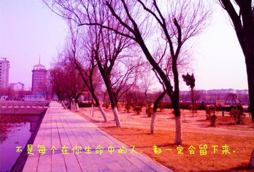 江瞳顾星恺在线观看（江瞳顾星恺在线观看）全文免费阅读无弹窗大结局_（江瞳顾星恺）江瞳顾星恺最新章节列表笔趣阁（江瞳顾星恺在线观看）