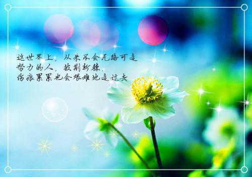 忘忧半夏（苏欢苏齐）全文免费阅读无弹窗_（忘忧半夏免费阅读）