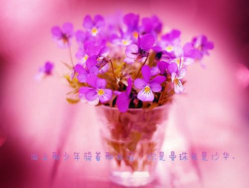 云散风尽小说（蔡一万蔡静怡祁寒）全文免费阅读无弹窗大结局_(云散风尽)蔡一万蔡静怡祁寒免费阅读无弹窗最新章节列表_笔趣阁（云散风尽）