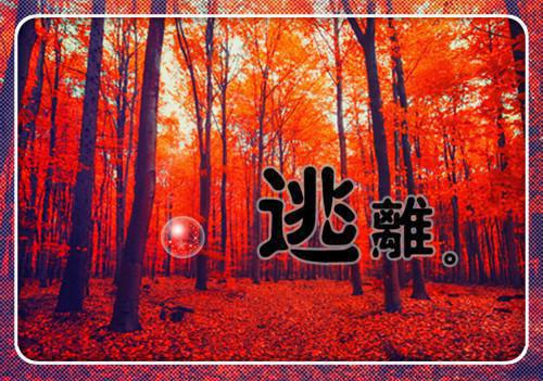 宫墙不知处知乎贺淮安（齐域贺淮安）全文免费阅读无弹窗大结局_（齐域贺淮安）宫墙不知处最新章节列表_笔趣阁（齐域贺淮安）