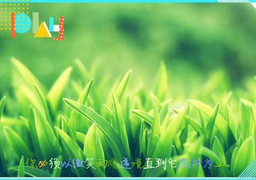 陆昂段芝芝(宁琪陆昂段芝芝)小说全文免费阅读无弹窗大结局_（陆昂段芝芝全文免费阅读）陆昂段芝芝最新章节列表笔趣阁（宁琪陆昂段芝芝）