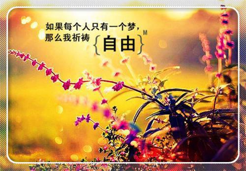 宿命相逢全文免费阅读无弹窗大结局（宿命相逢）_（宿命相逢）宿命相逢最新章节列表_笔趣阁（宿命相逢）