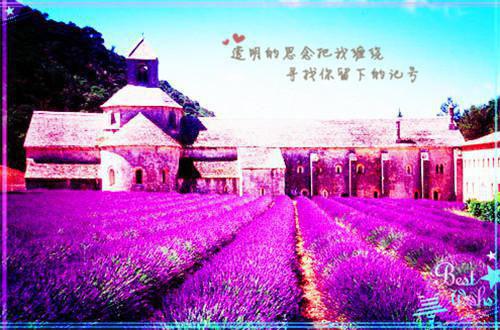 惟愿岁岁安(结局) 顾晏岁岁免费阅读全文