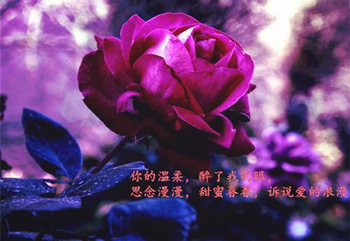 谢明辰赵岁岁（谢明辰赵岁岁）全文免费阅读无弹窗大结局_（谢明辰赵岁岁）谢明辰赵岁岁最新章节列表_笔趣阁（谢明辰赵岁岁）