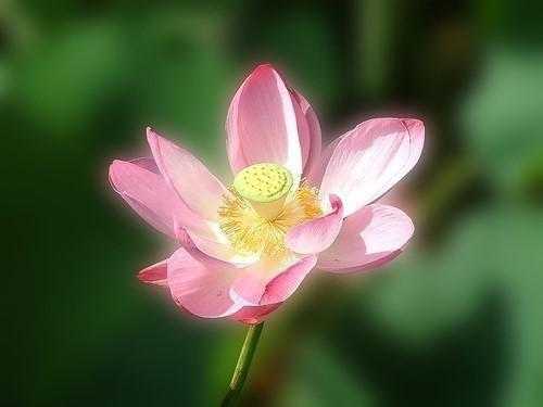 摆烂天际花钱摆烂（柳依依夏年）全文免费阅读无弹窗大结局_（柳依依夏年摆烂天际花钱摆烂）柳依依夏年最新章节列表_笔趣阁（摆烂天际花钱摆烂）