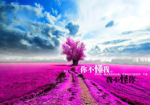 林夕然贺亭川小说无弹窗（林夕然贺亭川小说）大结局_林夕然贺亭川最新章节列表_笔趣阁（林夕然贺亭川小说）