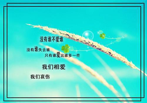 朋友圈晚安激励人心的正能量句子