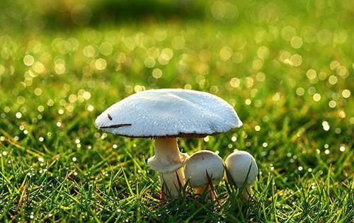 江濛向衡（刁蛮茶茶全文免费阅读）全文免费阅读无弹窗大结局_刁蛮茶茶全文免费阅读（刁蛮茶茶全文免费阅读）最新章节列表_笔趣阁（江濛向衡）