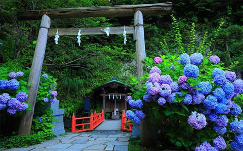 宋淮林月希(落叶法则)全文免费阅读无弹窗大结局_(宋淮林月希免费阅读全文大结局)最新章节列表_笔趣阁（宋淮林月希）