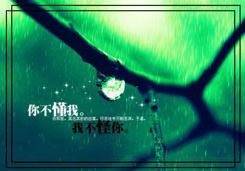 容景玉宛娘免费完结版 情梦眼神容景玉宛娘小说阅读