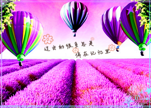 惜月侄子全文免费阅读（倩倩）小说全文免费阅读无弹窗_（惜月侄子）小说全文免费阅读最新章节列表笔趣阁（倩倩）