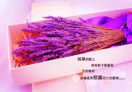 弟弟被偷全文免费阅读无弹窗大结局_（弟弟被偷在线阅读）弟弟被偷最新章节列表_笔趣阁（弟弟被偷）