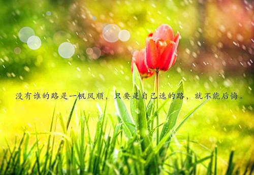 心灵星辰小说_慕辰顾俞全文完整无删减版免费阅读