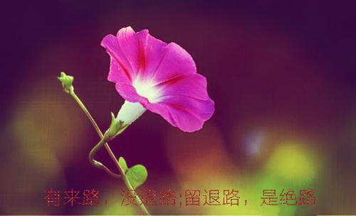 正能量超搞笑句子说说心情短语