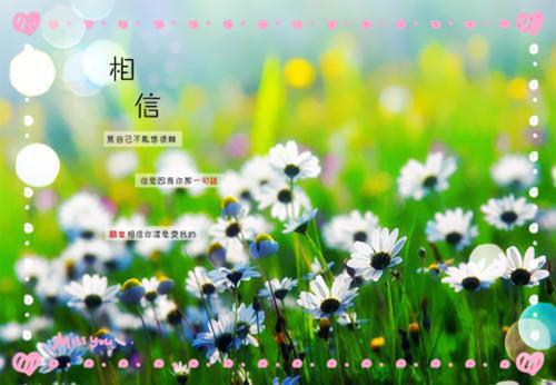 糖豆之恋全文免费在线阅读(党毛毛周淳豆豆)_糖豆之恋最新章节阅读无删减