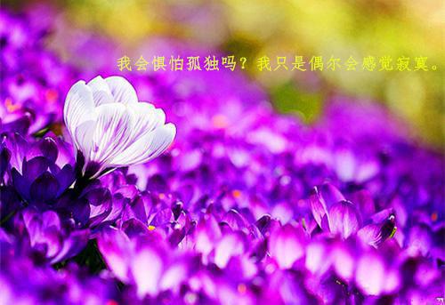 江司衍时溪小说全文免费阅读无弹窗大结局_（江司衍时溪小说江司衍时溪）江司衍时溪小说最新章节列表笔趣阁（江司衍时溪小说）