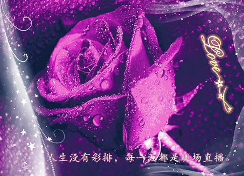 萧严与肖晴（萧严与肖晴）全文免费阅读无弹窗大结局_（萧严与肖晴）萧严与肖晴最新章节列表_笔趣阁（萧严与肖晴）
