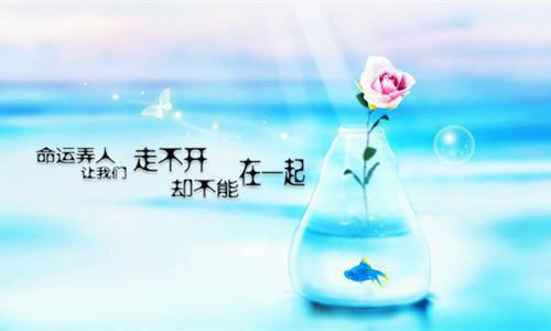 一等功行动（陈伯彦江警官）全文免费阅读无弹窗大结局_(一等功行动)一等功行动免费阅读无弹窗最新章节列表_笔趣阁（一等功行动）