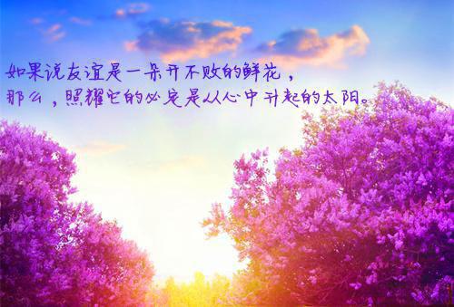 宁锦墨云晔小说全文免费阅读无弹窗大结局_（宁锦墨云晔小说宁锦墨云晔）宁锦墨云晔小说最新章节列表笔趣阁（宁锦墨云晔小说）