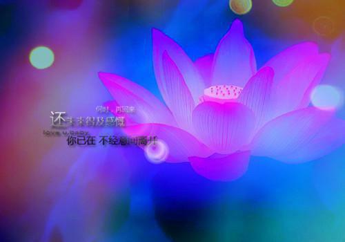 秦行顾予诗全文免费大结局 秦行顾予诗小说在线阅读