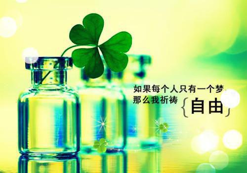 冰冷男婴（慧慧朱晴张丹）全文免费阅读大结局_慧慧朱晴张丹小说全文免费阅读最新章节列表