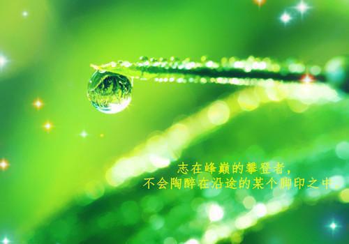 林洛清季屿霄小说（林洛清季屿霄）全文免费阅读无弹窗大结局_(林洛清季屿霄小说)林洛清季屿霄小说免费阅读全文最新章节列表_笔趣阁（林洛清季屿霄）