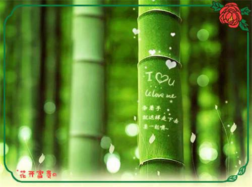 我都成虎王了,系统才激活TXT(江风洛安琪)小说全文阅读_我都成虎王了,系统才激活TXT全本小说阅读