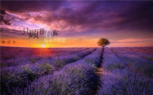 曲知知燕珩（曲知知燕珩）全文免费阅读无弹窗大结局_曲知知燕珩最新章节列表笔趣阁（曲知知燕珩）