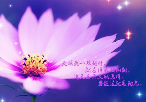 幽灵婚礼全文免费阅读（许桃宋斐）无弹窗大结局_(幽灵婚礼全文免费阅读)许桃宋斐最新章节列表_笔趣阁（幽灵婚礼许桃宋斐）