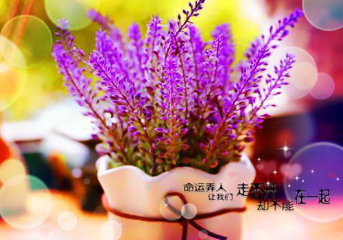错过的婚戒陆时予吴虞番外全文免费阅读无弹窗大结局_（错过的婚戒陆时予吴虞番外错过的婚戒）错过的婚戒陆时予吴虞番外最新章节列表笔趣阁（错过的婚戒陆时予吴虞番外）