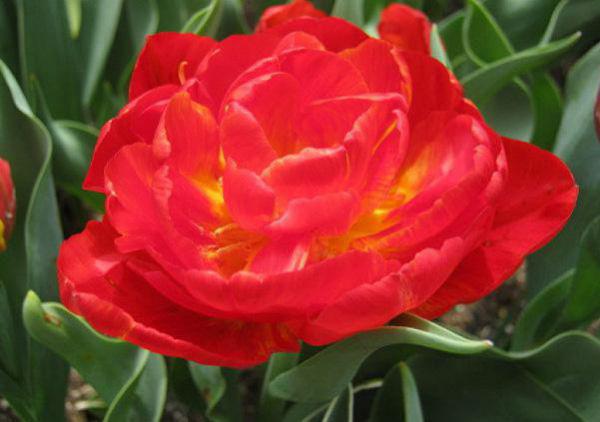 空灵再见宁琪陆昂芝芝(空灵再见宁琪陆昂芝芝)全文免费阅读无弹窗大结局_空灵再见宁琪陆昂芝芝全文免费阅读最新章节列表_笔趣阁（空灵再见宁琪陆昂芝芝）