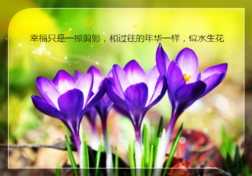 ***切原全文免费大结局 ***切原小说在线阅读