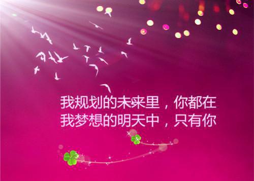 时溪江言遇(时溪江言遇小说免费时溪江言遇)全文免费阅读无弹窗大结局_时溪江言遇免费阅读最新章节列表_笔趣阁（时溪江言遇）
