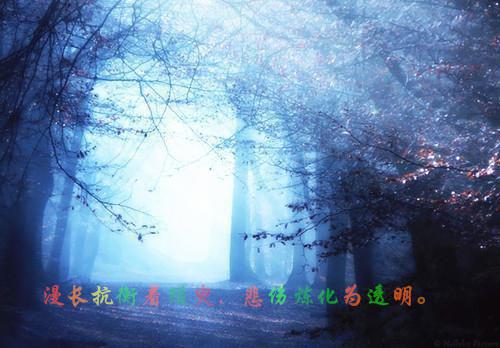陆悠悠陆宸全文免费阅读无弹窗大结局_（陆悠悠陆宸）陆悠悠陆宸最新章节列表笔趣阁（陆悠悠陆宸）