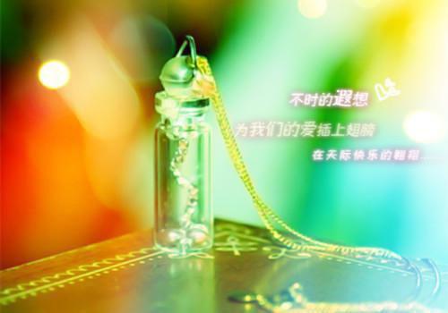 不见来世(宁琪陆昂芝芝)全文免费阅读无弹窗大结局_不见来世免费阅读最新章节列表_笔趣阁（不见来世）